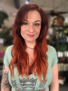 GloireDuMatin de Henegouwen, Belgique